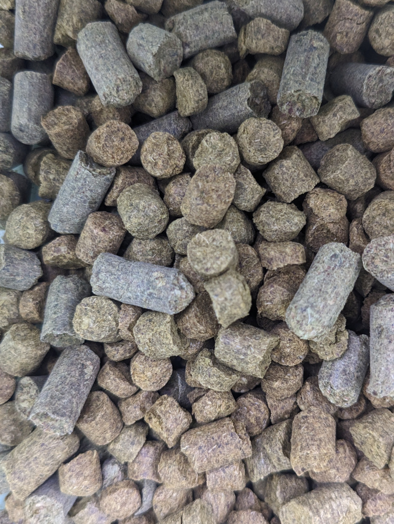Hopfen
