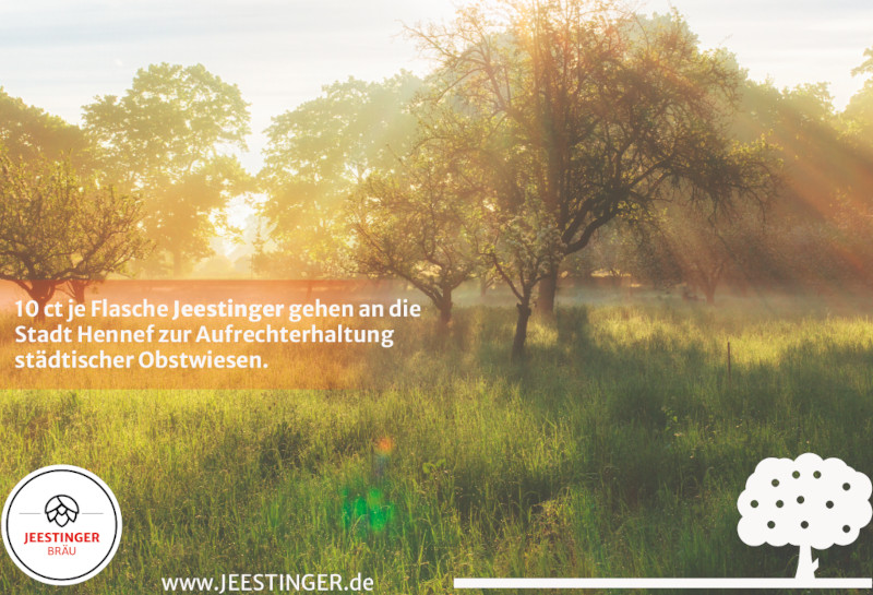Bild zu Blogpost 32